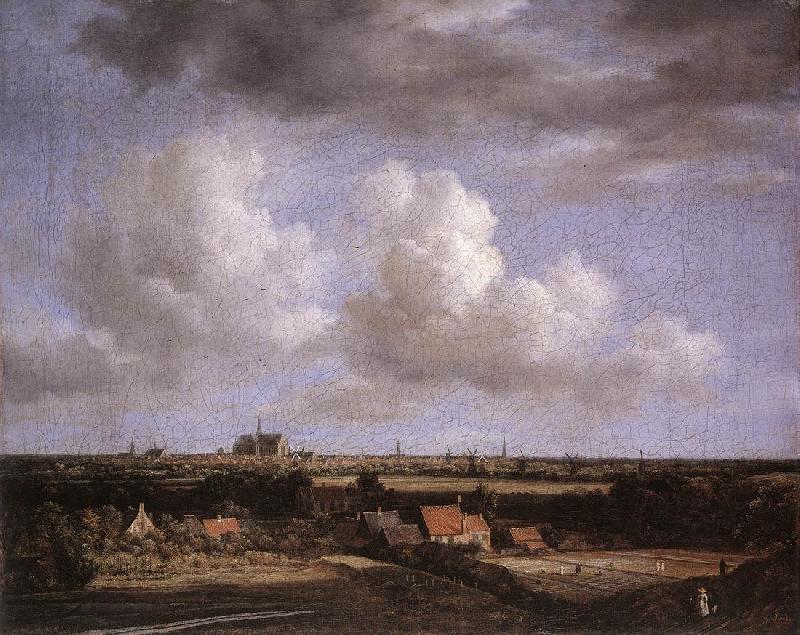 Jacob van Ruisdael Landscape with a View of Haarlem oil painting picture